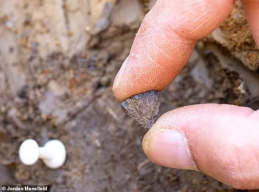已知用火！人类40万年前就会生火　比原先认知早35万年