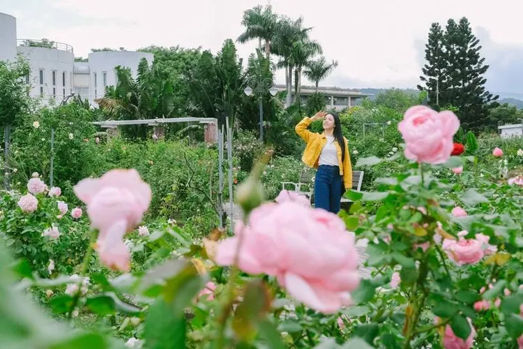 花博新生園區大片綠意與花田。台灣觀光創新協會提供