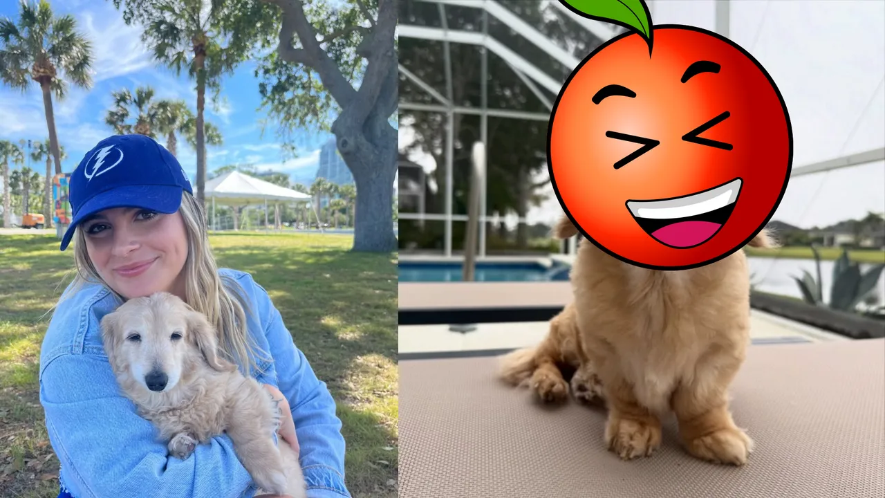 一辈子嘴角失守！全球「最爱笑狗狗」离世