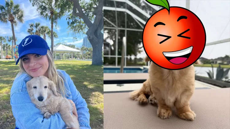 饲主宣布贝拉不幸辞世。翻摄自IG Buddy, Bella & Birdie