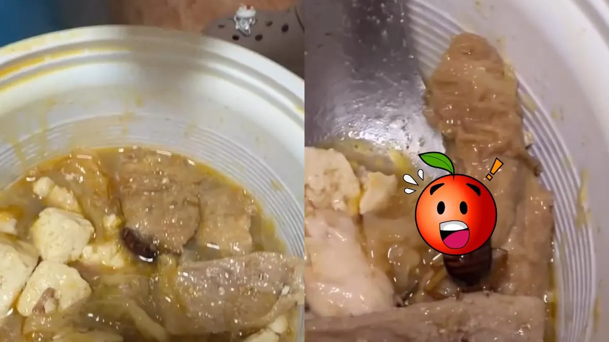 林聪明沙锅鱼头吃到「整只大蟑螂」！官方：分店无限期自主休业