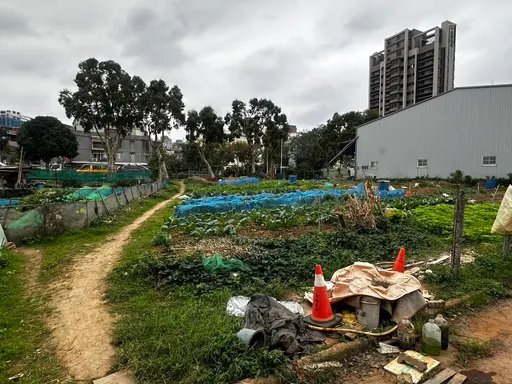 一早种菜起争执！林口7旬老农遇刺「身中5刀」送医　警缉凶中