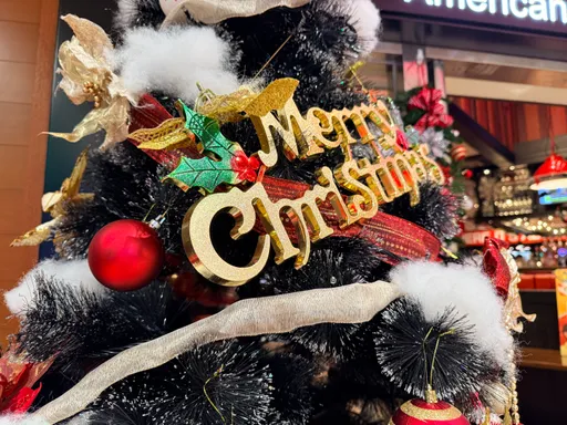 圣诞老人通过台湾上空　国防部1句话曝飞越照