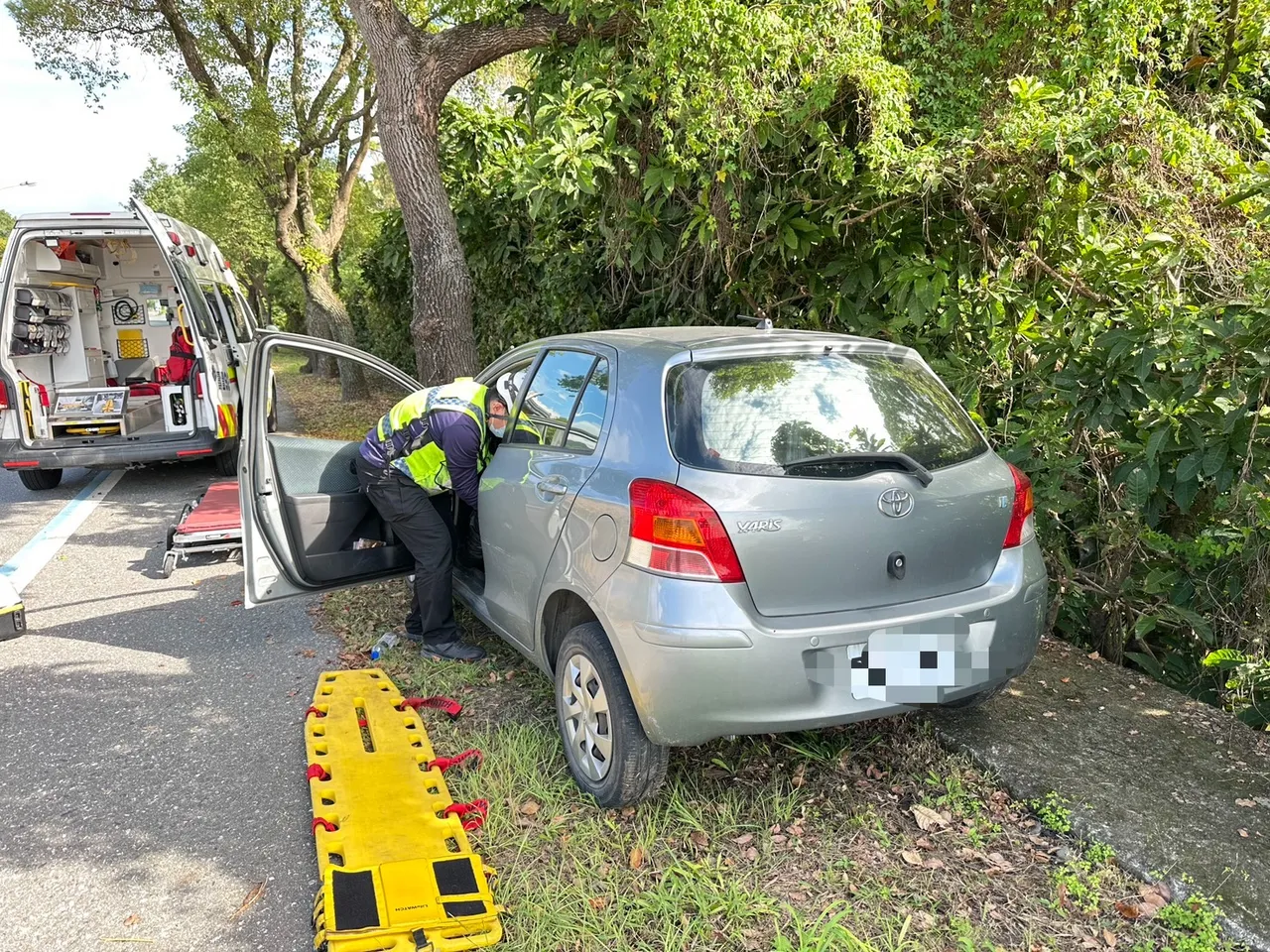 张男驾车自撞路树送医不治。民众提供
