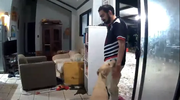 馬凱回家露出難以置信的表情，闖禍的狗狗還把頭湊過去討拍。翻攝馬凱臉書影片