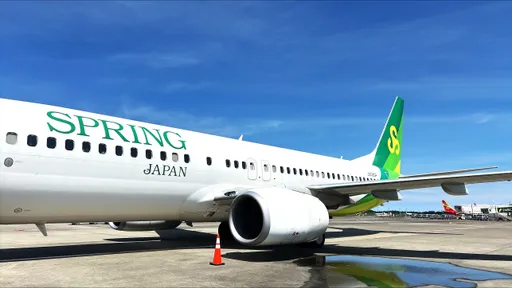 差30分钟落地！男子闹喊「就是要跟女友坐」　害全机原路返航