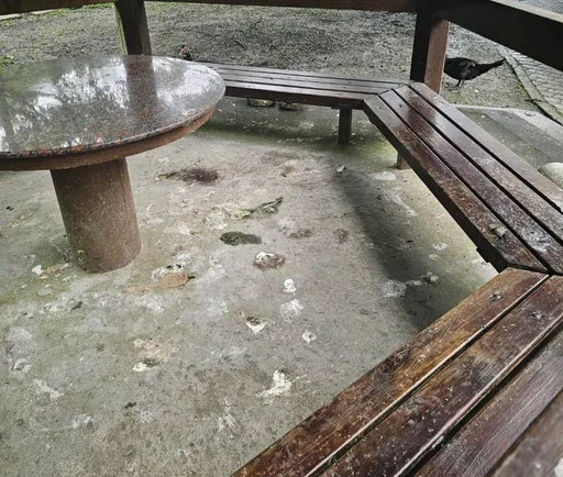 宜兰望龙埤惊见抓野鸭！上百网友疯猜用途　乡公所这样说