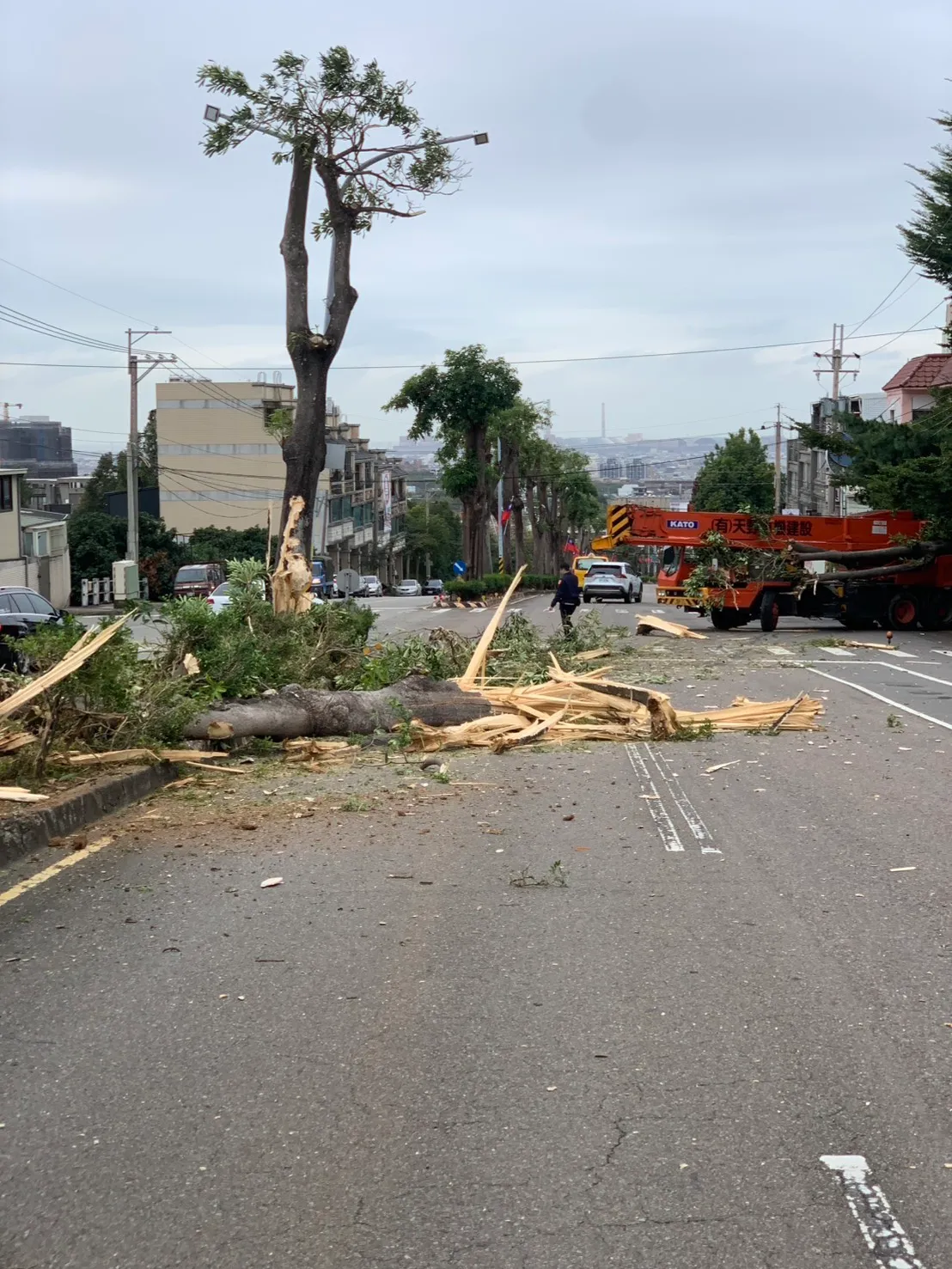 吊车倒退噜撞断分隔岛路树，最后撞上汽车旅馆围墙才停住。民众提供