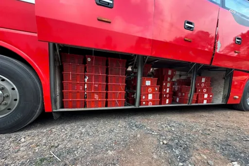 臥鋪巴士藏近1公噸活眼鏡王蛇　警方開箱全嚇到