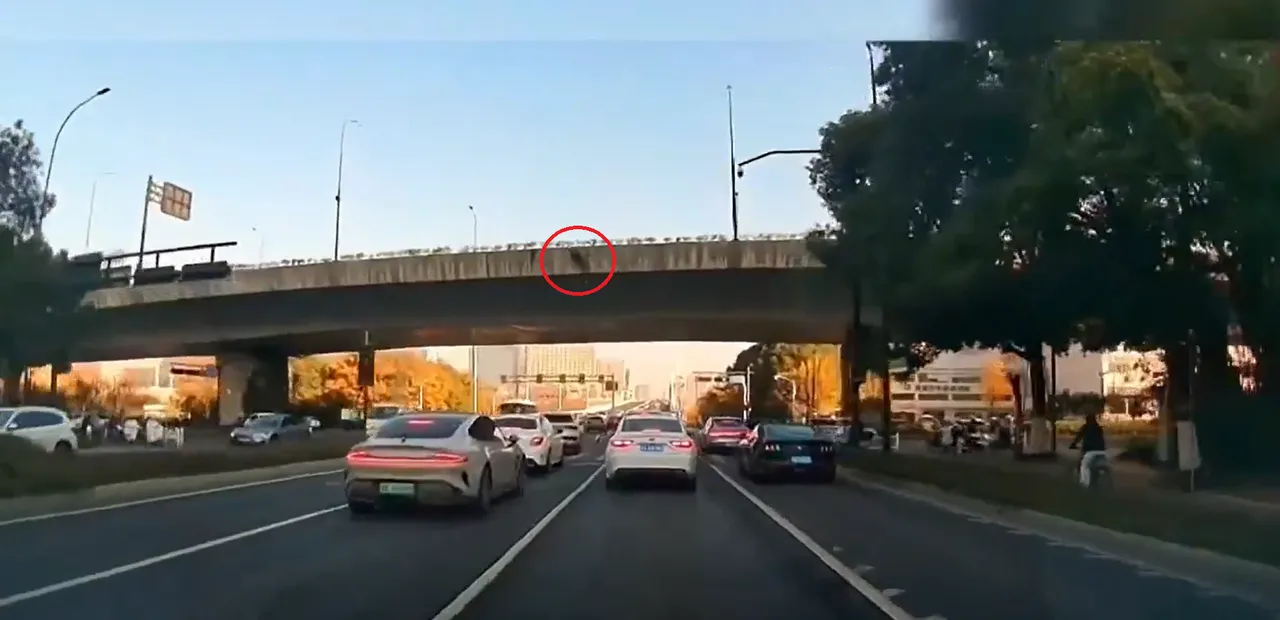 母亲随后绝望跳下。翻摄自X @whyyoutouzhele