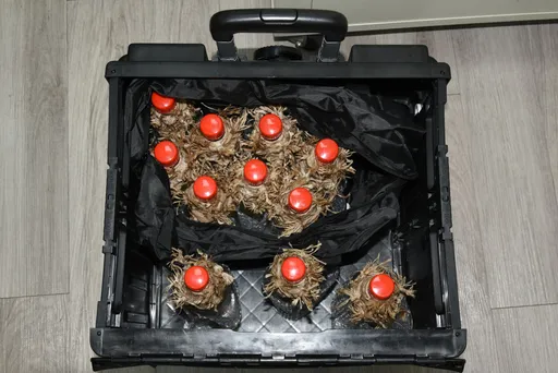 北捷擲彈砍人｜張文「彈藥庫」曝光！火力驚人　未爆彈若全炸開不堪設想