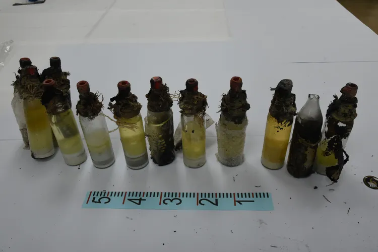 張文自製的汽油彈。翻攝畫面