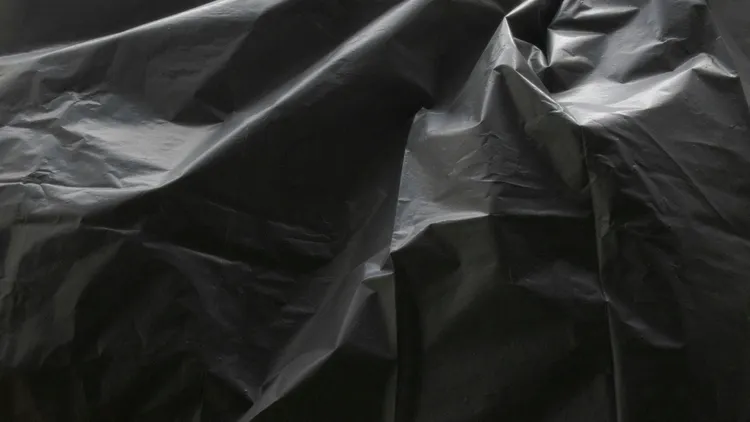 示意图。翻摄自Unsplash