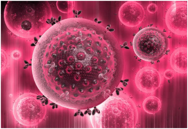 全球第七例！男子接受造血幹細胞移植後成功「擺脫 HIV」