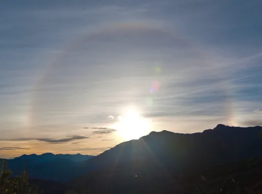 2026元旦曙光地點出爐！不爬高山也有絕佳選擇