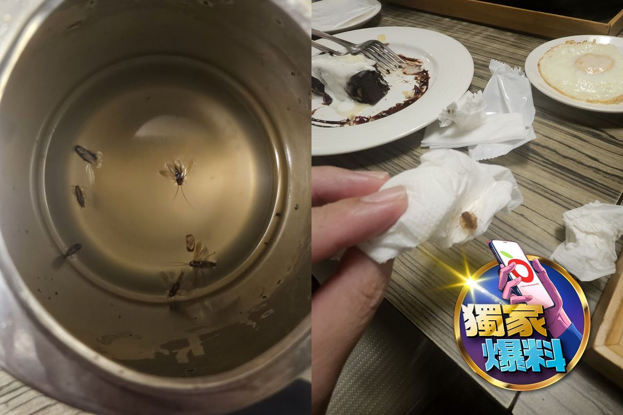 獨家爆料|高雄異人館水杯卡垢、小強橫行!民眾用餐嚇傻 衛生局出手了