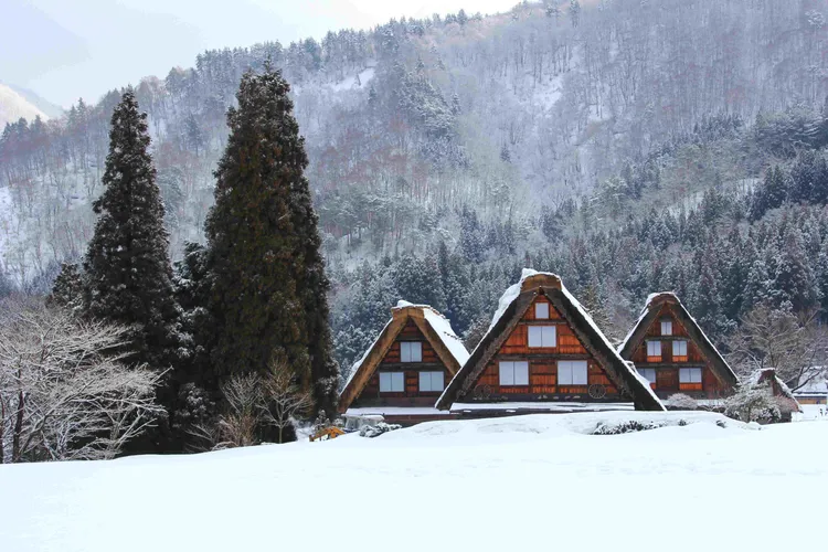 在日本旅遊的熱門景點中，岐阜縣「飛驒高山」向來深受台灣旅客的喜愛，不僅擁有白川鄉合掌村、高山祭等豐富的自然與人文景觀，更以當地出產的頂級和牛「飛驒牛」而聞名遐邇。台北美福大飯店提供