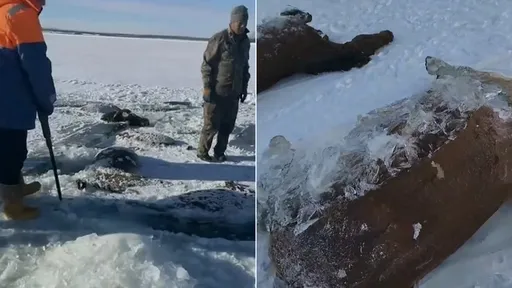 13匹马一起被水库淹死冰封　疑结伴喝水酿祸