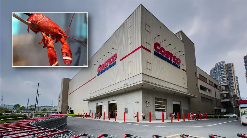 价值破千万！活龙虾运往好市多全被抢走　惊动FBI调查