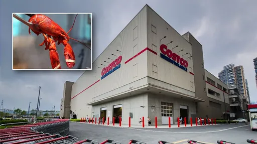 价值破千万！活龙虾运往好市多全被抢走　惊动FBI调查