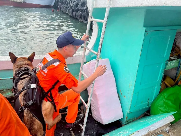 海巡出動緝毒犬搜查。橋檢提供