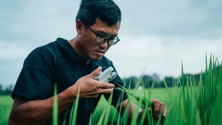 大园区青农陈士贤。桃园市府提供