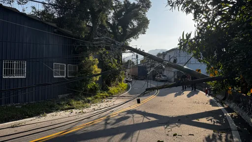 貨櫃車疑車身過高拉扯電線　電桿倒了！三峽596戶停電中