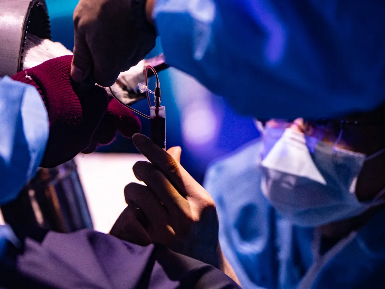 血液采检作业。台中海洋馆提供