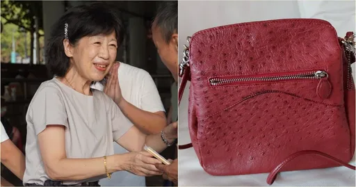 柯文哲夫妻年报税700万　陈佩琪偏爱「鳄鱼纹皮包」曝入手价