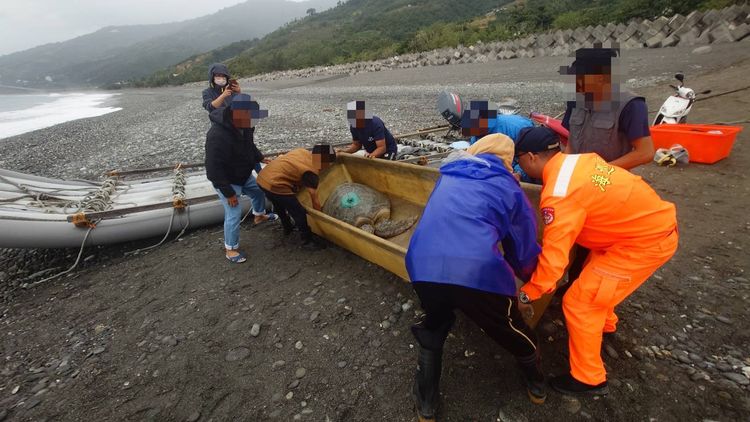漁民通報綠蠵龜困台東定置漁網 海洋保育員施打金屬標放流回歸海洋