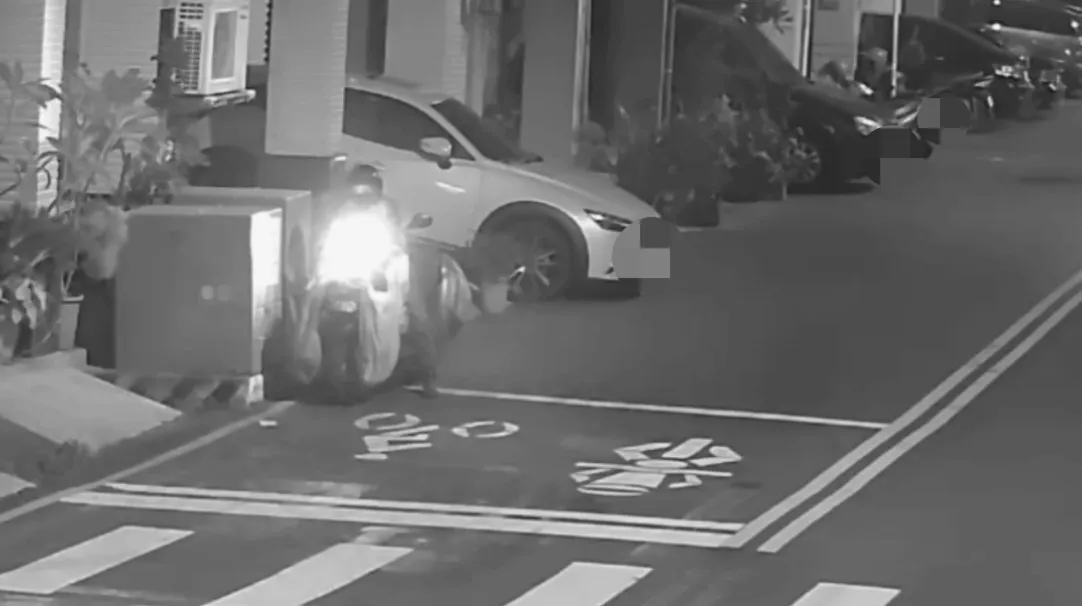 警方调阅监视画面，查到是颜妇在喂养流浪动物。翻摄画面