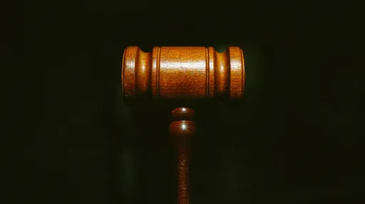 大法官「球员兼裁判」怎制衡？　律师：只能祈祷他们有该有的操守