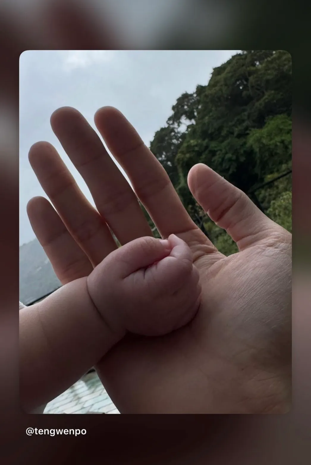 贝斯手博文晒女儿的小手照片。翻摄翻摄博文IG