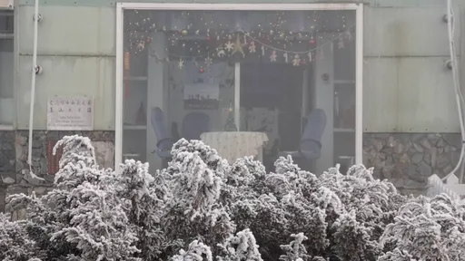 玉山下雪了！一早跌破-5.5℃　银白世界超美画面直击