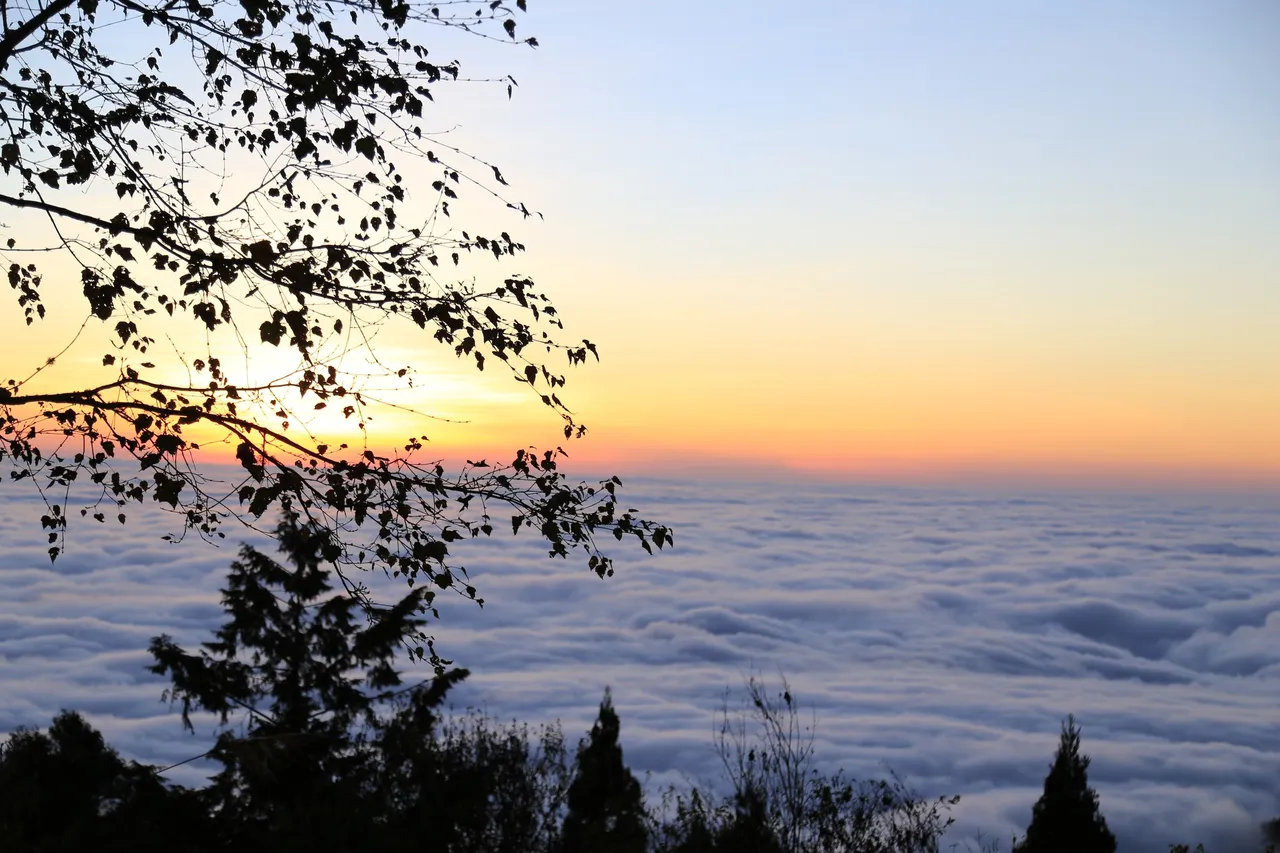 入住阿里山宾馆房客独享7楼景观平台夕阳余晖、磅礡云海流瀑。阿里山宾馆提供