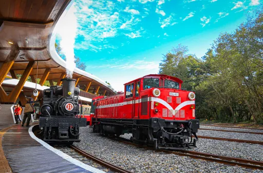 2026元旦衝阿里山　阿里山賓館推「曙光日出」專案贈祝山線來回火車票