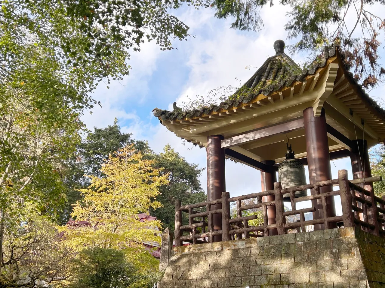 岁末年终，阿里山慈云寺银杏与一旁的钟楼、青枫，是很游客喜爱拍照的景点。阿里山宾馆提供