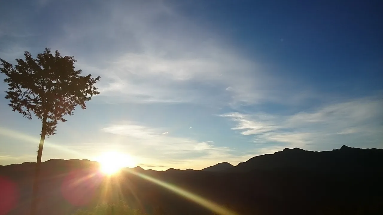 阿里山林业铁路加开元旦祝山线观日列车，让旅人清晨到闻名全球的祝山平台迎接第一道曙光。阿里山宾馆提供