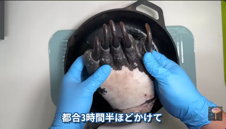 可以剝皮了。YouTube