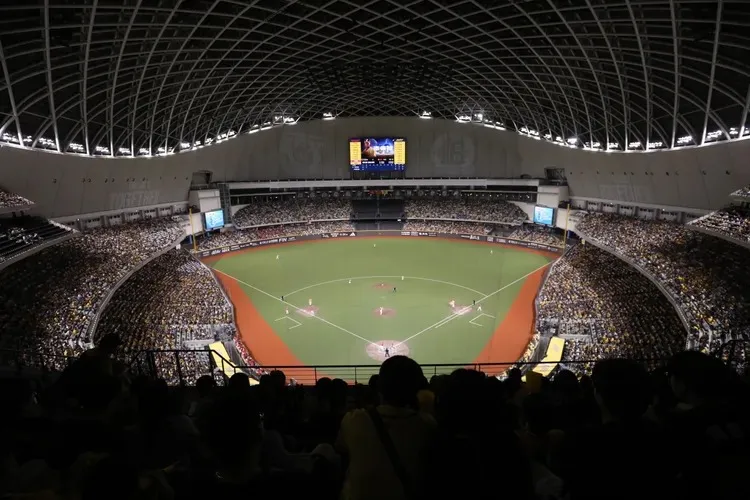 张文随机杀人引球迷恐慌　中职将加强安检？联盟回应了