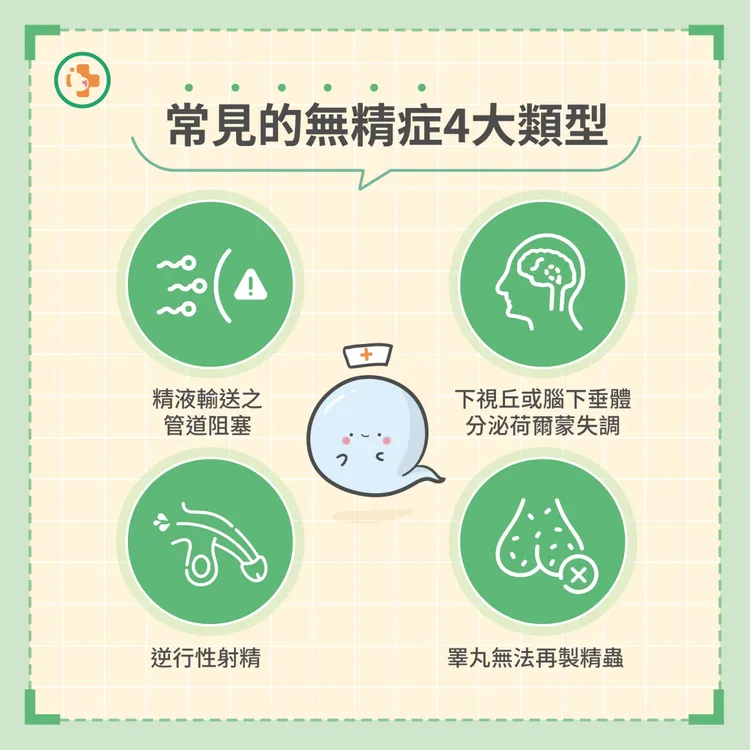 無精症四大類型。茂盛醫院提供