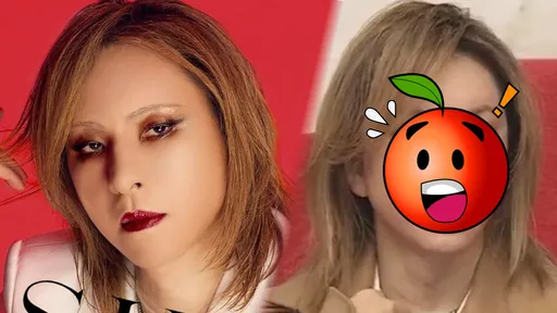 墨镜才是本体？视觉系天王晒素颜　网惊：这不是YOSHIKI