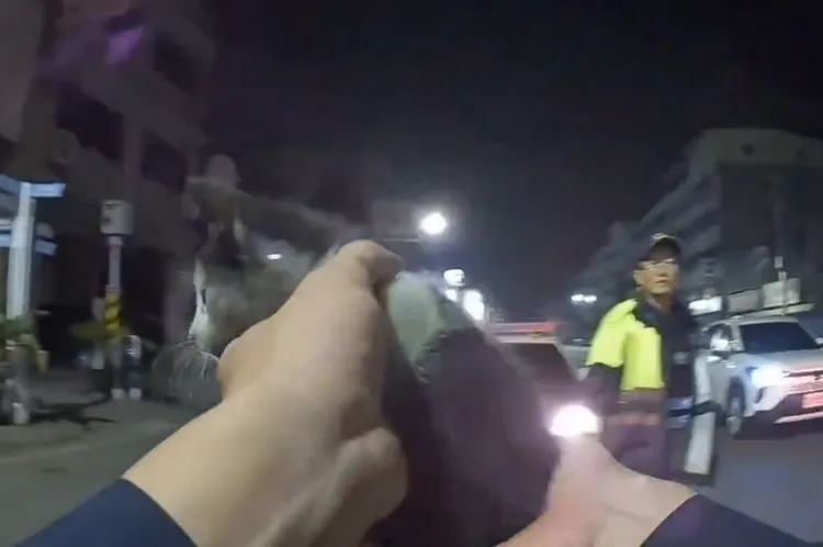 小貓被員警救起。翻攝畫面