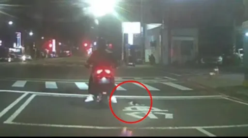 前面机车驾驶不要动！警车突然鸣叫示警　竟是因为这小可爱