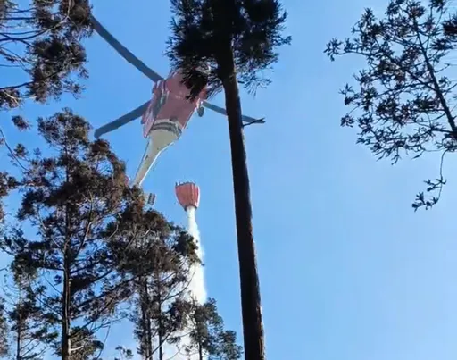 「台版嵐山」3天延燒8公頃　警消民力都出動　直升機一早跑12趟滅火