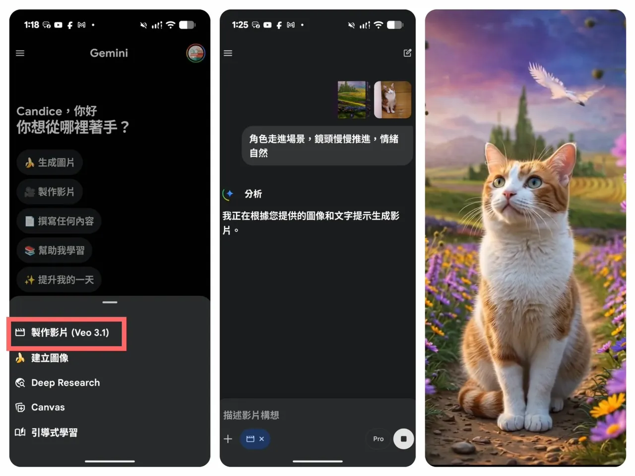 在Gemini App中選擇「製作影片（Veo 3.1）」後，上傳角色圖片與風景圖，並輸入簡短文字描述，即可由Veo 3.1自動生成影片。趙筱文攝