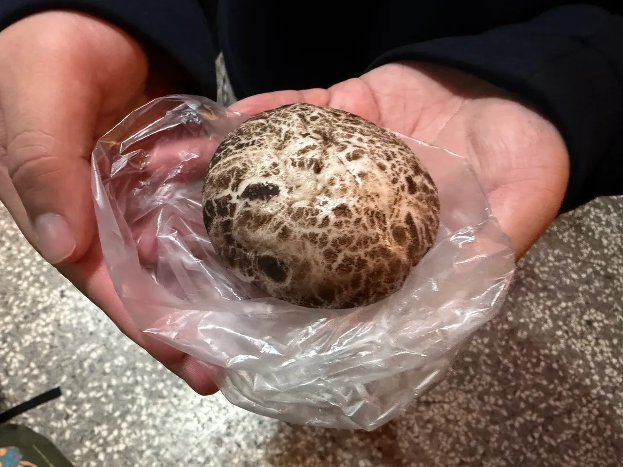 輝達執行長黃仁勳親自分送的香菇芝麻包。呂承哲攝