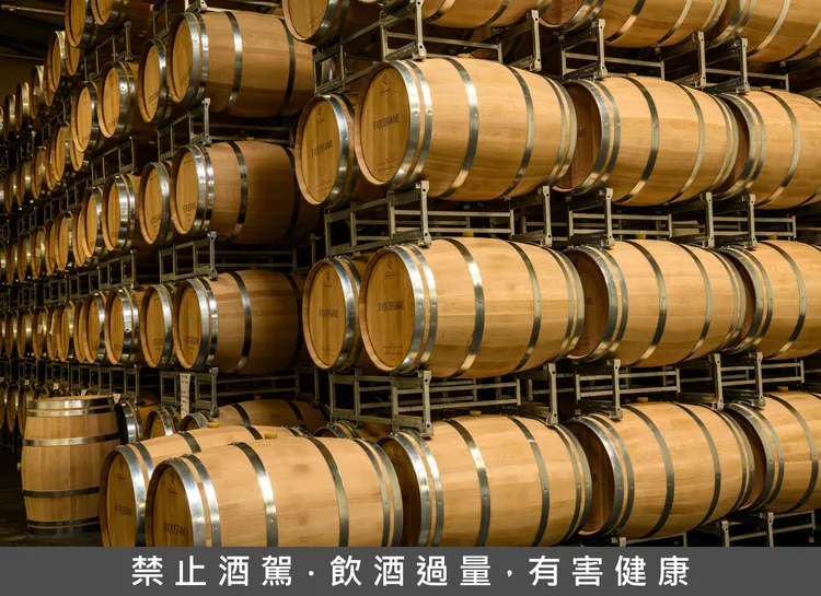 波爾多酒窖內橡木桶整齊陳列，酒液於桶中靜置熟成，展現當地釀酒工藝對時間與細節的掌握。（奔富提供）