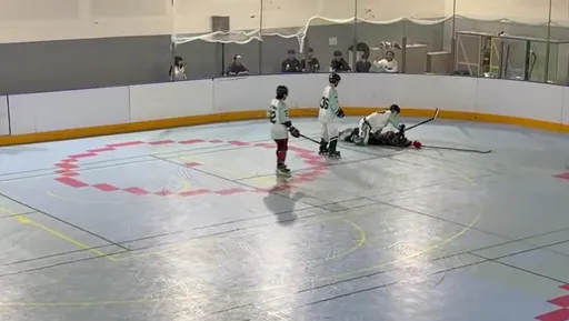 28岁前曲棍球国手球场施暴　把国三生压在地狂揍5拳