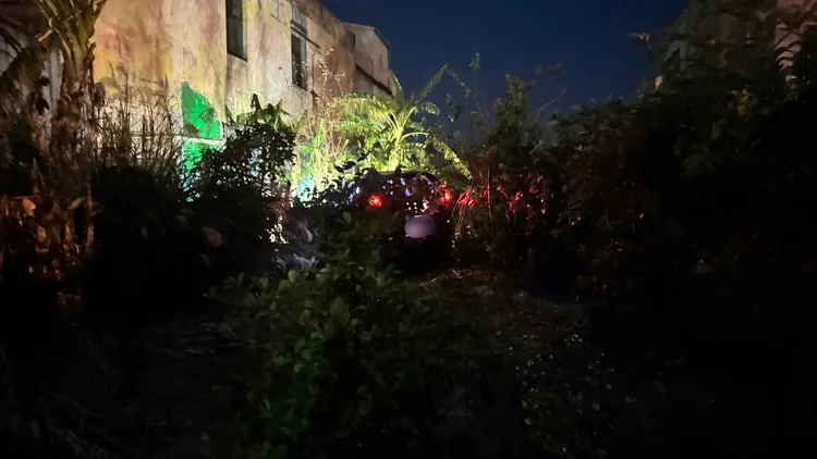 轎車衝進廢棄菜園。民眾提供